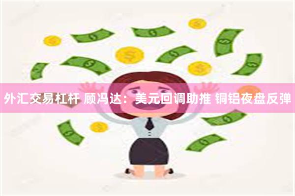 外汇交易杠杆 顾冯达：美元回调助推 铜铝夜盘反弹