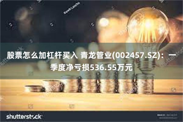 股票怎么加杠杆买入 青龙管业(002457.SZ)：一季度净亏损536.55万元