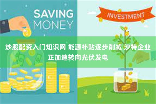 炒股配资入门知识网 能源补贴逐步削减 沙特企业正加速转向光伏发电