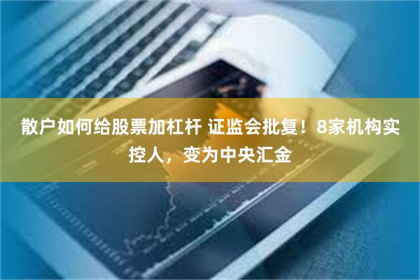 散户如何给股票加杠杆 证监会批复！8家机构实控人，变为中央汇金